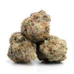 Cheese THCa Flower