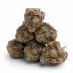 GMO Cookies THCa Flower