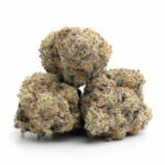 Girl Scout Cookies THCa Flower