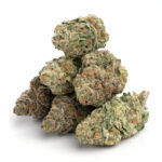 Orange Cake THCa Flower
