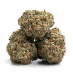 Purple Haze THCa Flower