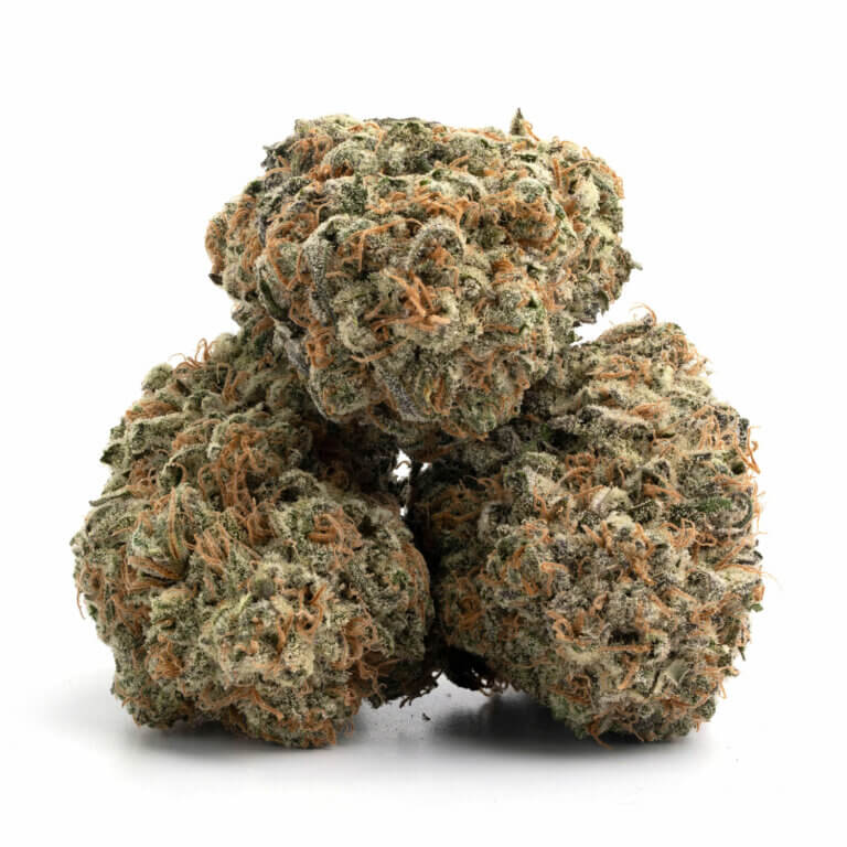 Purple Haze THCa Flower - Legendary Sativa Cannabis Strain for Bulk Orders