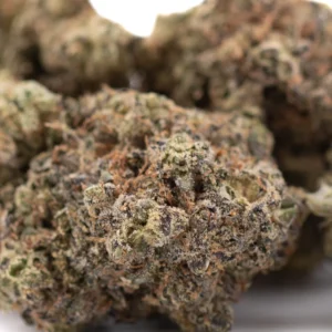 Black-Amber-Indoor-THCa-Flower-wholesale-indoor-flower-Germany-EU-B2B.webp