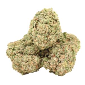 Bulk wholesale packaging of Alien Cookies cannabis strain