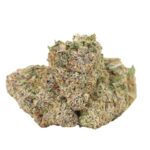 Biscotti Strain