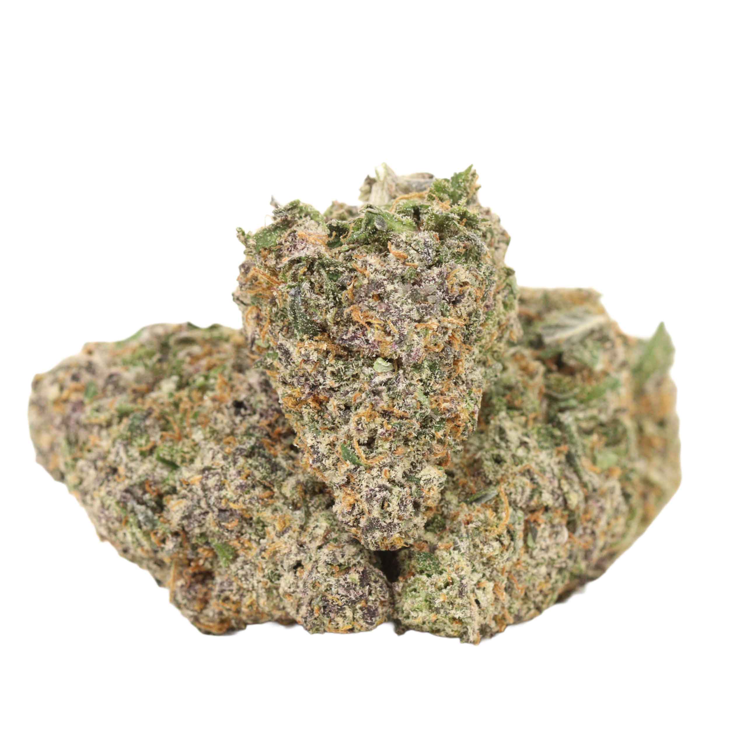 Bulk wholesale packaging of Biscotti cannabis strain