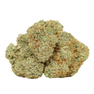 Sativa