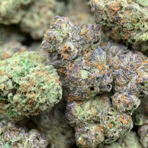 Close-up-of-White-Gumbo-THCa-Flower-buds-with-frosty-trichomes-and-green-leaves