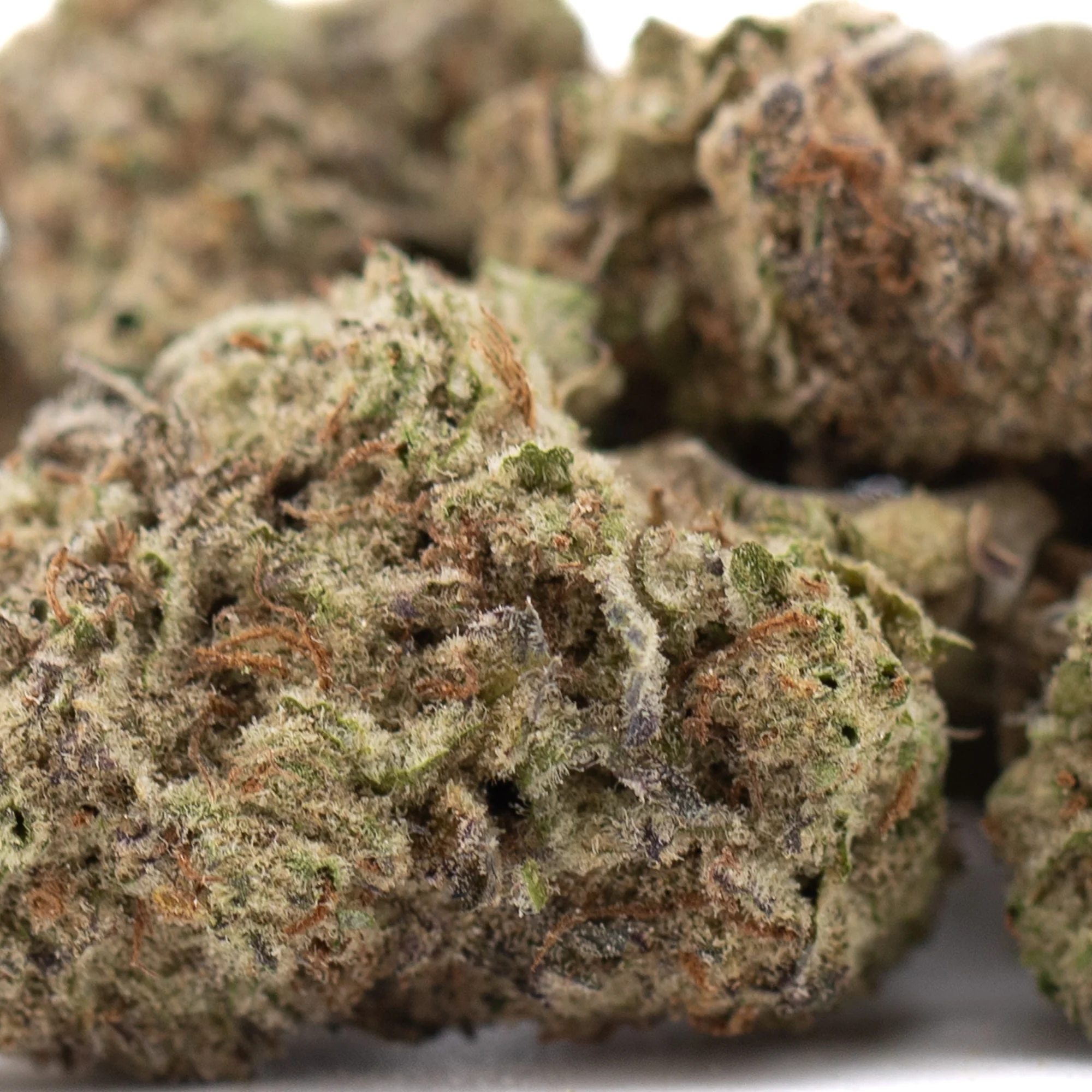GAS THCa Flower