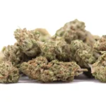 Sugar THCa Flower