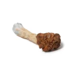Golden Teacher Magic Mushrooms | Lab-Tested Dried Psilocybe Cubensis | Wholesale