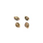 Buy LILLOOET LANDRACE SEEDS